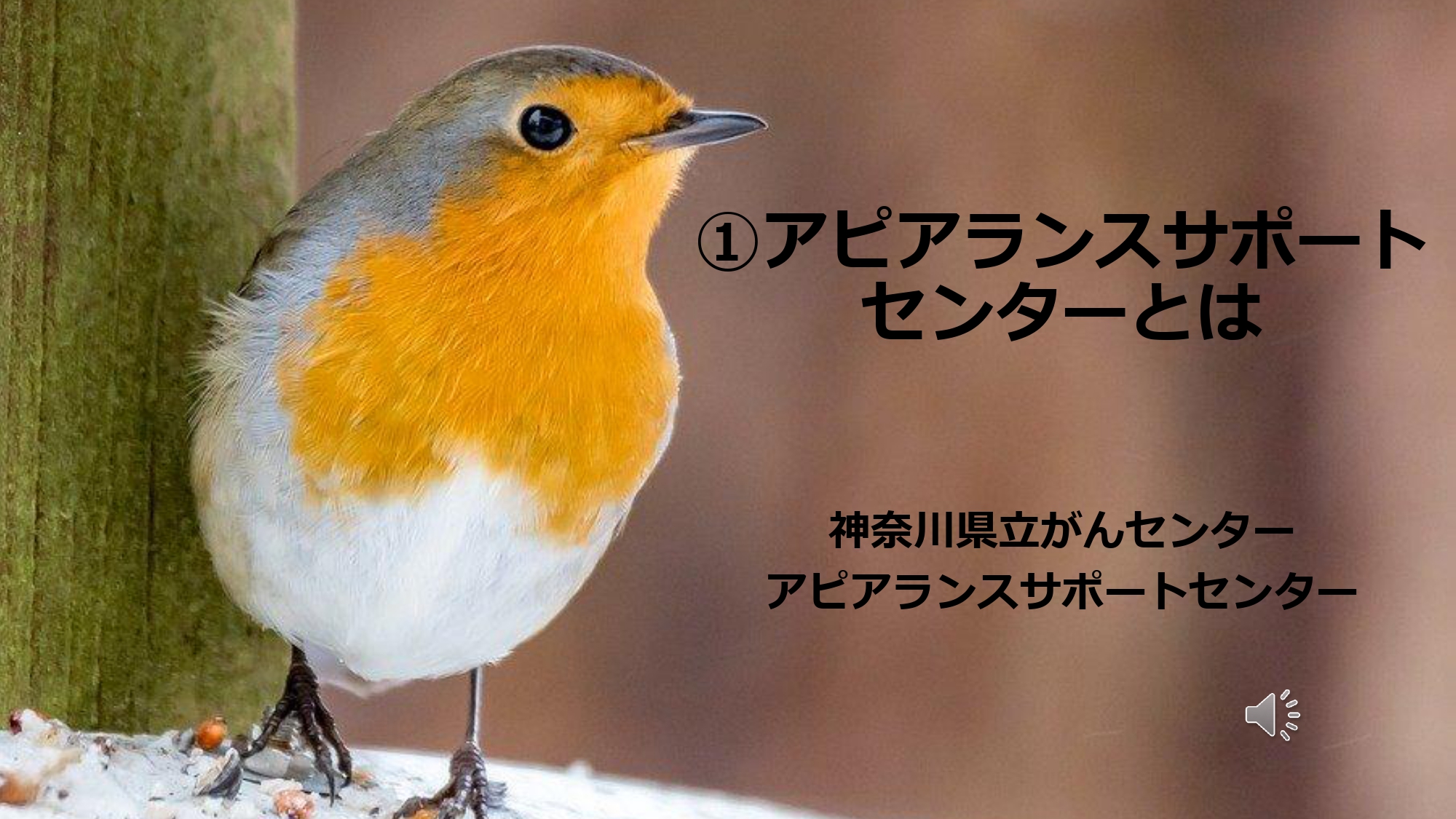 アピアランスサポートセンターとは