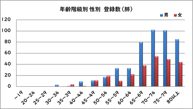 年齢階級別性別登録数（肺）