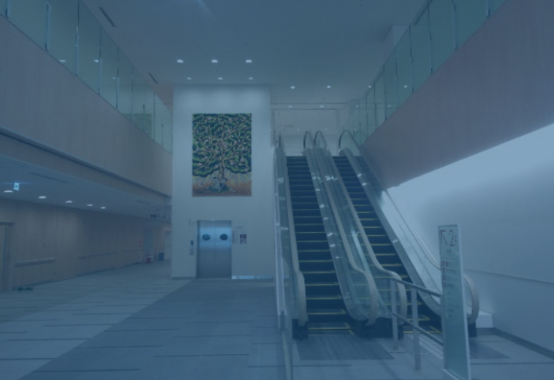 外来担当医表 詳細ボタン