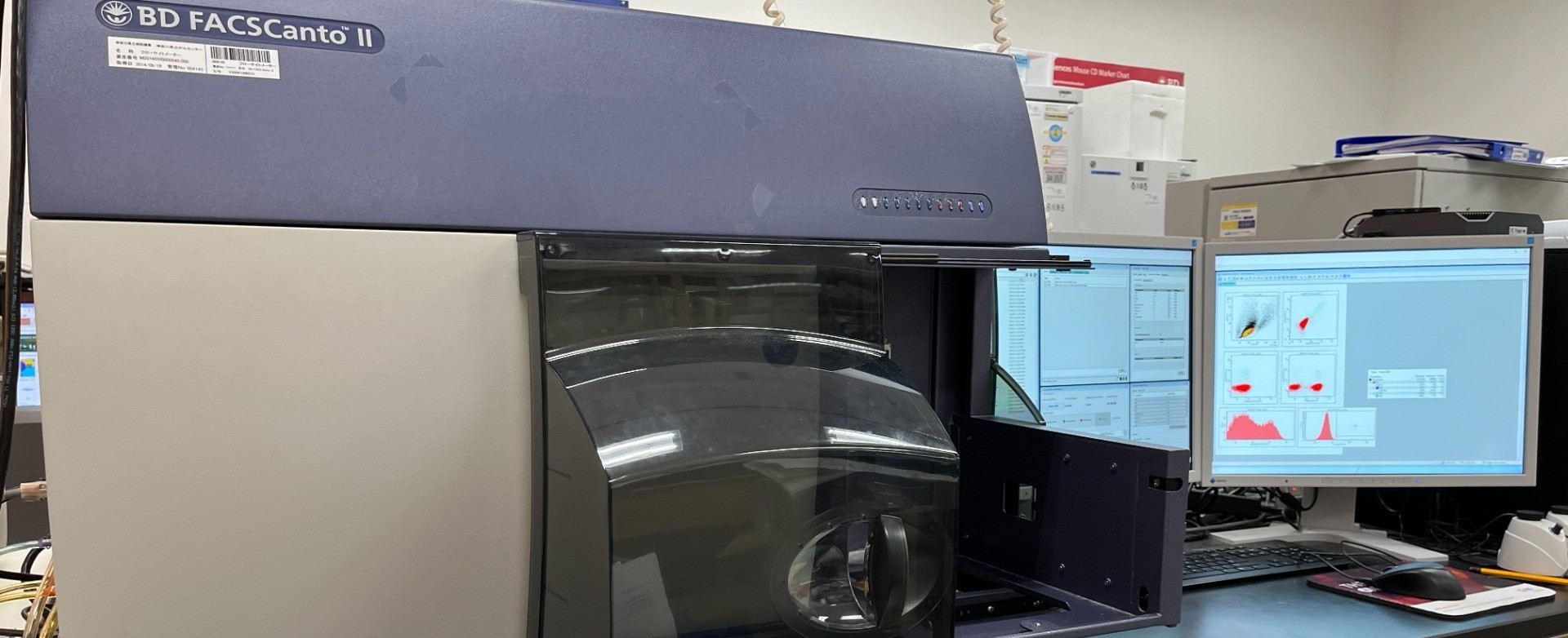 がん免疫療法研究開発学部